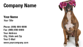 Featured Designs |--| At169978 | Background | Boxer | Dog | Funky | Sunglasses | Suzi Nelson | Wearing | White
