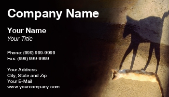 Featured Designs |--| At171137 | Cat | Long | Photograph | Robert Adrian Hillman | Shadow | Sunshine | Walking