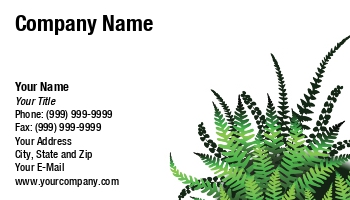 Featured Designs |--| At171226 | Design | Fern | Foliage | Generic | Lush | Plant | Robert Adrian Hillman
