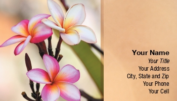 Featured Designs | Garden | Trades |--| At172355 | Close | Flowers | Frangipani | Image | Joseph-gv | Left | Spa