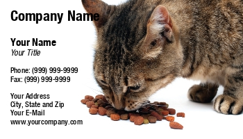 Animals | Domestic | Featured Designs | Food | Hospitality |--| At173528 | Background | Cat | Eating | Pet | Pet Food | Pet Hotel | Pet Supplies | Sinisa Botas | White