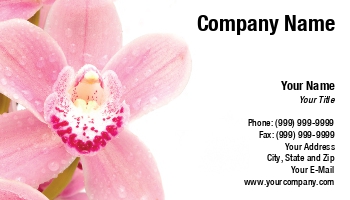 Featured Designs |--| At174566 | Background | Close | Florist | Jan Miks | Orchid | Pink | White