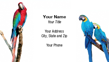 Featured Designs |--| Ara | Ararauna | At174649 | Background | Exotic Pets | Green | Isolated | Jan Miks | Macaw | Parrots | Pet | Pet-psychologist | Red | White