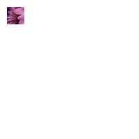 Featured Designs |--| At175894 | Charlene Bayerle