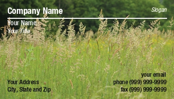 Featured Designs | Nature |--| 2012 | At170620 | Colorful | Croatia | Gordana Sermek | Meadow | Summer | Taken