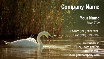Featured Designs |--| At176102 | Autumn | Ecology | Lake | Rolland | Swan | White