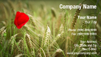 Featured Designs | Nature |--| At176123 | Barley | Concept | Conservation | Ecology | Environmental | Field | Love | Poppy | Red | Rolland