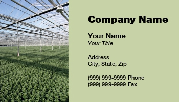 Featured Designs |--| Agriculture | At170913 | Flowers | Garden Greenhouse | Green | Greenhouse | Inside | Jan Kranendonk | Sunny | Young