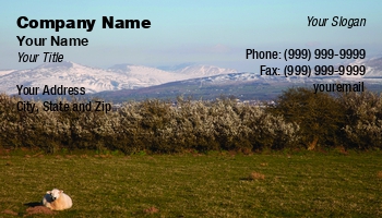 Featured Designs |--| At179199 | Foreground | Gail Johnson | National | North | Park | Sheep | Snow | Snowdonia | Spring | Wales