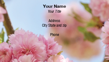Featured Designs | Floral | Nature |--| Andreja Donko | At179217 | Blooming | Cherry | Japanese | Tree