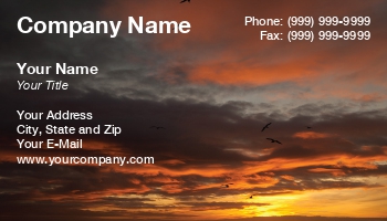 Featured Designs |--| At181604 | Birds | Gail Johnson | Sunset