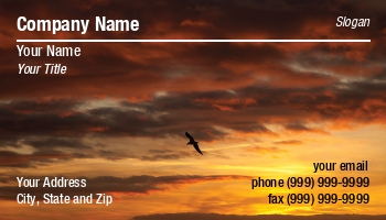 Featured Designs |--| At181618 | Birds | Gail Johnson | Sunset