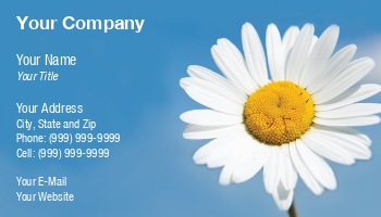 Featured Designs | Nature |--| #039 | Adrian Brockwell | At183130 | Blue | Daisy | Head | Macro | Petals | Pollen | Shot | Showing | Sky | White | Yellow
