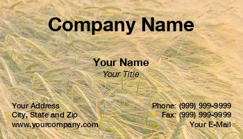 Farm | Featured Designs | Food | Hospitality | Professional | Sales |--| At184654 | Barley | Care | Crop | Farming | Fertilizers | Harvesting | Image | Overall | Production | Ready | Ripened | Stuart Sneddon | Suitable