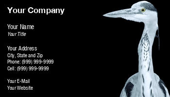 Featured Designs |--| At188300 | Bird | Farone Domenico