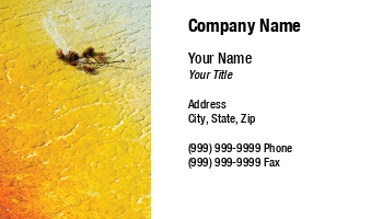 Featured Designs |--| Abstract | At191751 | Eric Middelkoop | Water | Yellow