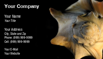 Animals | Featured Designs | Nature |--| Achim Prill | At192507 | Dark | Including | Marine | Rock And Roll | Sea | Shell | Theme