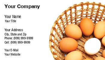 Farm | Featured Designs |--| At195838 | Background | Basket | Caning | Chicken | Eggs | Einar | Farming | Poultry Farm | White