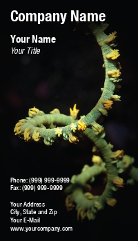 Aquatic | Featured Designs | Nature | Ocean |--| At196770 | Background | Black | Curling | Flora | Green | Soren Egeberg
