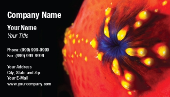 Featured Designs |--| Abstract | At196772 | Background | Black | Red | Seaapple | Soren Egeberg
