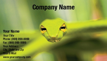 Featured Designs | Wild |--| At196828 | Background | Blurred | Eyes | Face | Green | Snake | Soren Egeberg | Yellow