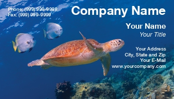 Featured Designs | Nature | Ocean | Sports | Swimming |--| At196837 | Batfish | Following | Island | Malaysia | Reef | Seaturtle | Sipadan | Soren Egeberg | Underwater