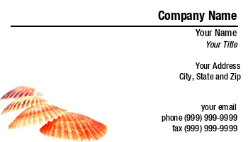 Beach | Beauty | Featured Designs | Nature |--| At190764 | Health Treatment | Marine Biology | Seashells | Shell | Spa Service | Wojciech Jarco