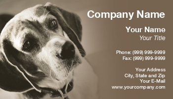 Featured Designs |--| At198417 | Beagle | Cute | Dog | Dog Boarding | Dog Care | Dog Grooming | Dog Handler | Dog Products | Dog Sitting | Dog Trainer | Dog Training | Dog Walker | Todd Arena