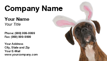 Featured Designs |--| At198999 | Boxer | Suzi Nelson