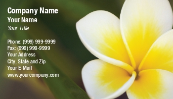 Featured Designs |--| Andy Dean | At199291 | Available | Business | Card | High | Image | Pansy | Perfect | Plumeria Flower | Related | Resolution | Spa | Template | Tropical | Yoga | Zen