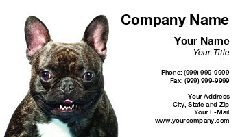 Animals | Featured Designs | Veterinarian |--| At199840 | French | Nagy Melinda | Pitbull | Portrait
