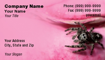 Animals | Featured Designs |--| Allow | At23479 | Botanical | Brilliantly | Brooklyn | Card | Flower | Gardens | Hanging | Insect | Jumped | Jumping | Noticed | Picture | Pink | Posed | Rest! | Rose | Spider | Stand | Sunset | Taken | Tarantula | Thomas Picard | Tiny | Wolf Spider