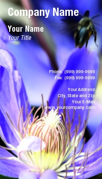 Featured Designs | Floral | Nature | Potpourri |--| At23482 | Balance | Bee | Card | Delicate | Displays | Florist | Flower | Flowers | Flying | Keeper | Natures | Noticed | Perfect | Picture | Portrays | Thomas Picard | Trying
