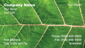 Featured Designs | Garden | Nature | Trades |--| At23492 | Botanists! | Capture | Card | Cool | Gardening | Great | Green | Have! | Leaf | Lens | Macro | Real | Texture | Thomas Picard | Used | Work
