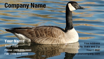 Featured Designs | Sports | Swimming |--| At24603 | Bird | Canada | Colorado | Goose | Mike Denhof | Peacefully | Pond | Springs