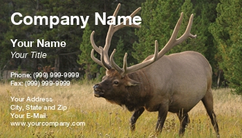 Featured Designs |--| At24607 | Bugling | Calmly | Currently | Elk | Elks | Grazing | Hunting | Mike Denhof | National | National Park | North American Big Game | Park | Rocky Mountain Wildlife | Stream | Trophy Hunting | Wapiti | Wyoming | Yellowstone | Yellowstone National Park