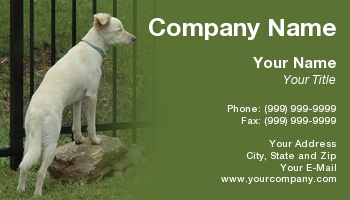 Animals | Domestic | Featured Designs |--| At24807 | Canine | Dog | Dogs | Jack Newton | Pet | Pet Shop | Pet Store | Pets