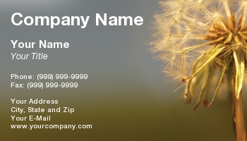 Featured Designs | Garden | Trades |--| At24831 | Breeze | Capture | Dandelion | Delicate | Dispersed | Macro | Sally Farndon | Seeds | Taken | Using | Wind