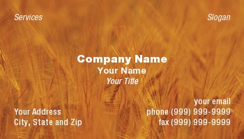 Farm | Featured Designs |--| At24840 | Attention | Barley | Capture | Caught | Close | Colour | Driving | Field | Heads | Norfolk | Quite | Rich | Sally Farndon | Showing | Striking | Try | Uk | Whilst