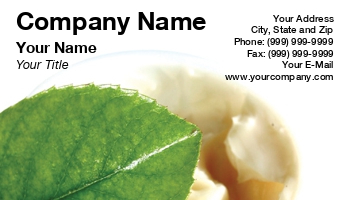 Beauty | Featured Designs |--| Allyson Kitts | At24997 | Business | Face | Facial | Facial Treatment | Leaf | Makeup | Retail Card Design | Skincare