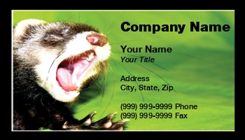 Featured Designs |--| Allyson Ricketts | At25004 | Ferret | Rodent | Rodents