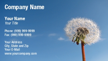 Featured Designs |--| Ali Taylor | At25179 | Bloom | Blue | Cloud | Dandelion | Distance | Held | Hint | Plant | Sky | Slight | Summers