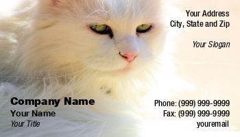 Animals | Domestic | Featured Designs |--| Allyson Kitts | Animal Breeder | Animal Care | At25190 | Cat | Cats | Persian Cat | Pet | Pet Shop | Pet Store | Pet-psychologist | Pets