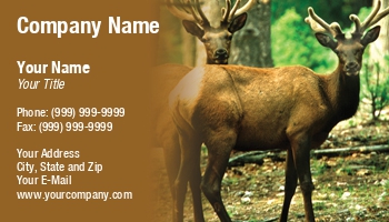 Featured Designs |--| At25198 | Elks | Hunting | Morey Milbradt | National Park | North American Big Game | Rocky Mountain Wildlife | Taxidermist | Taxidermy | Wapiti | Wyoming | Yellowstone | Yellowstone National Park
