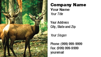 Featured Designs |--| At25200 | Elks | Hunting | Morey Milbradt | National Park | North American Big Game | Rocky Mountain Wildlife | Trophy Hunting | Wapiti | Wyoming | Yellowstone | Yellowstone National Park