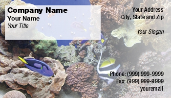 Animals | Aquatic | Domestic | Featured Designs | Professional | Travel |--| Aquarium | At25310 | Clown | Colorful | Coral | Darryl Brooks | Diving | Fish | Image | Nemo | Pet | Pet Shop | Pet Store | Pets | Tropical Fish Servicing