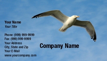 Featured Designs | Nature | Ocean |--| Ali Taylor | At25720 | Bird | Birds | Blue | Corner | Flight | Flying | Outstreached | Sand | Seagull | Shows | Sky | Surf | Wings