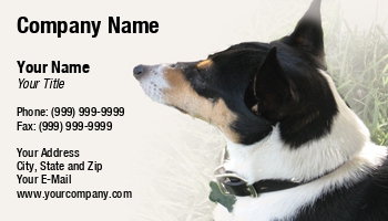Featured Designs |--| Animal Breeder | Animal Care | At25819 | Briantmeyer | Canine | Dog | Dog Boarding | Dog Daycare | Dog Sitter | Dogs | Fox Terrier | Pet | Pet Shop | Pet Store | Pet-psychologist | Pets | Small Dog | Terrier | Toy Fox Terrier