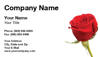 Featured Designs |--| Annie Kitzman | At26434 | Florist | Flower | Red Rose