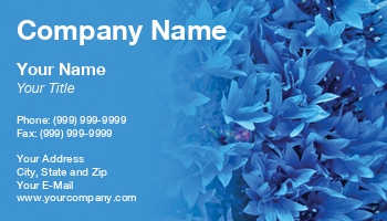 Featured Designs | Floral | Nature |--| At26446 | Background | Blue | Bluet | Bonnet | Botanic | Button | Close | Cornflower | Field | Florist | Flower | Indigo | Macro | Nadezda Pyastolova